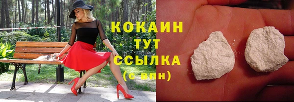 стафф Нестеровская