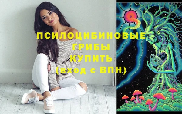 марки lsd Фёдоровский