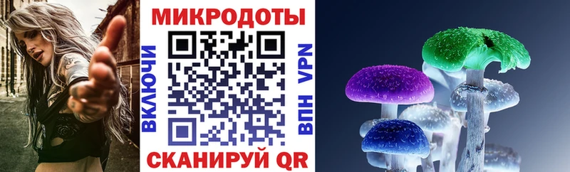 Галлюциногенные грибы MAGIC MUSHROOMS  где можно купить наркотик  kraken рабочий сайт  Каменка 
